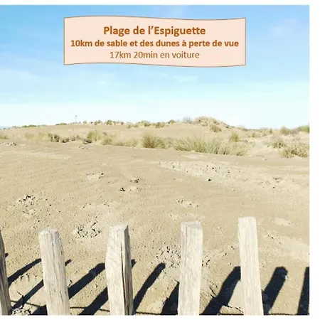 Thalassa 1ere Ligne Plages Du Couchant Wifi Apartment La Grande-Motte