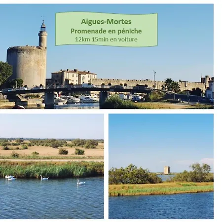 Apartment Thalassa 1ere Ligne Plages Du Couchant Wifi La Grande-Motte