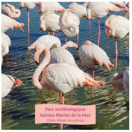 Thalassa 1ere Ligne Plages Du Couchant Wifi Apartment *